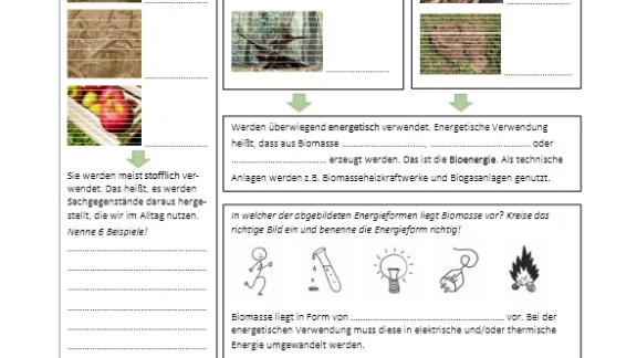 Biomasse Bioenergie