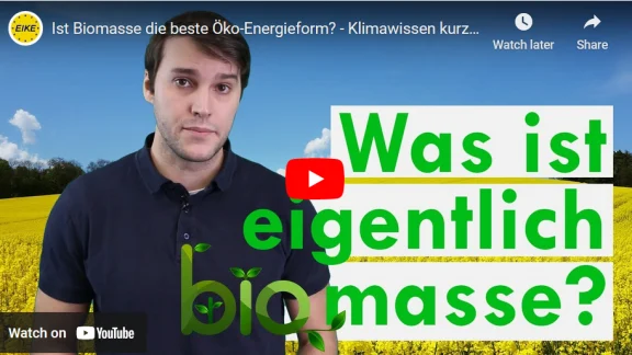 Biomasse als beste Öko-Energieform