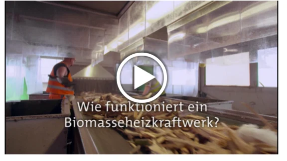 Biomasseheizkraftwerk video