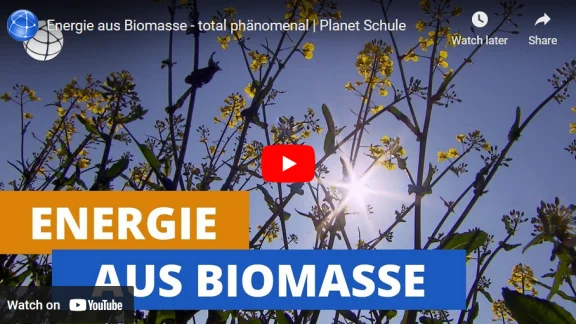 Energie aus Biomasse