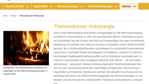 Themendossier Holzenergie